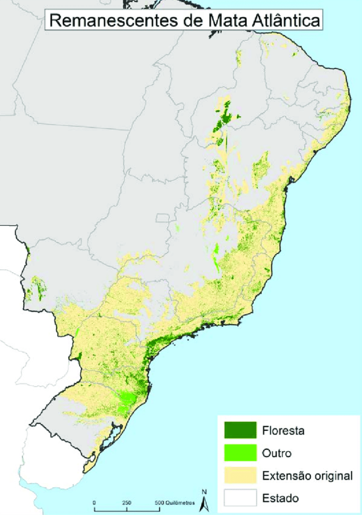 Mapa do Brasil e seus estados identificando extensão original, floresta atual e outras remanecentes da mata atlântica