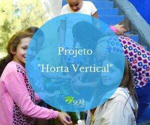 projeto-horta-vertical-300x251